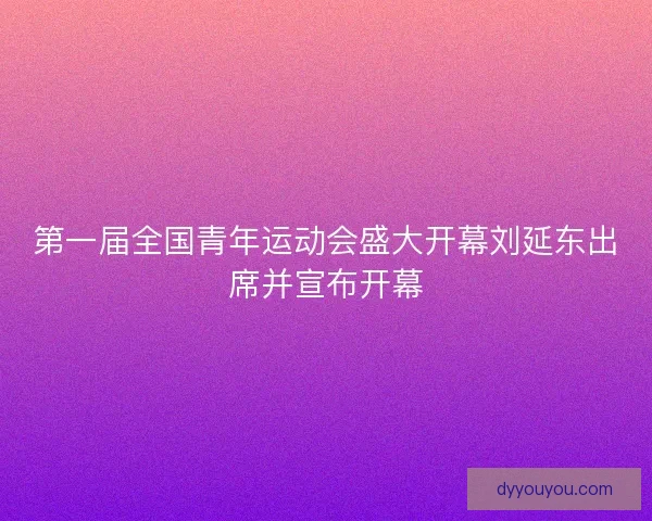 第一届全国青年运动会盛大开幕刘延东出席并宣布开幕