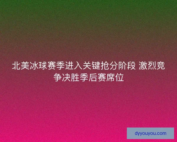 北美冰球赛季进入关键抢分阶段 激烈竞争决胜季后赛席位